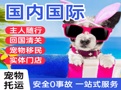 周水子航空快运国际宠物托运 【国